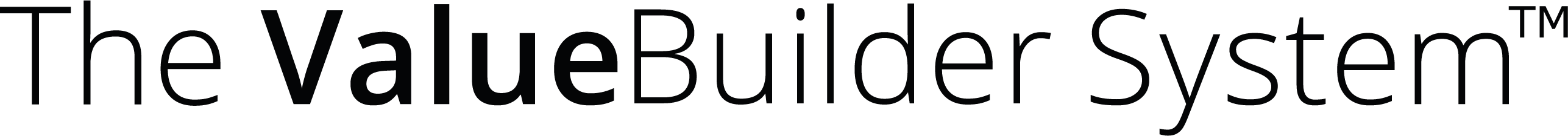 The Value Builder System Logo